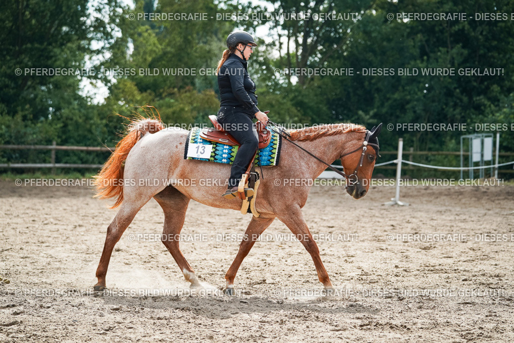 DSC04366 | Pferdegrafie