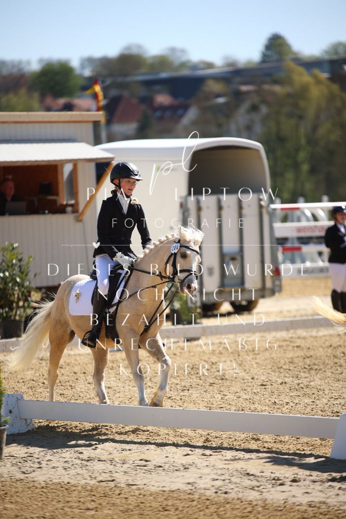 IMGT0656 | pl-fotografie