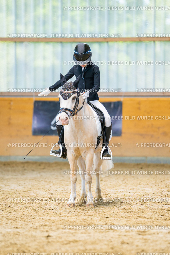 DSC07473 | Pferdegrafie