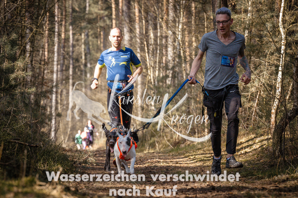 1134_ZZ91202 | kk-dogfotos