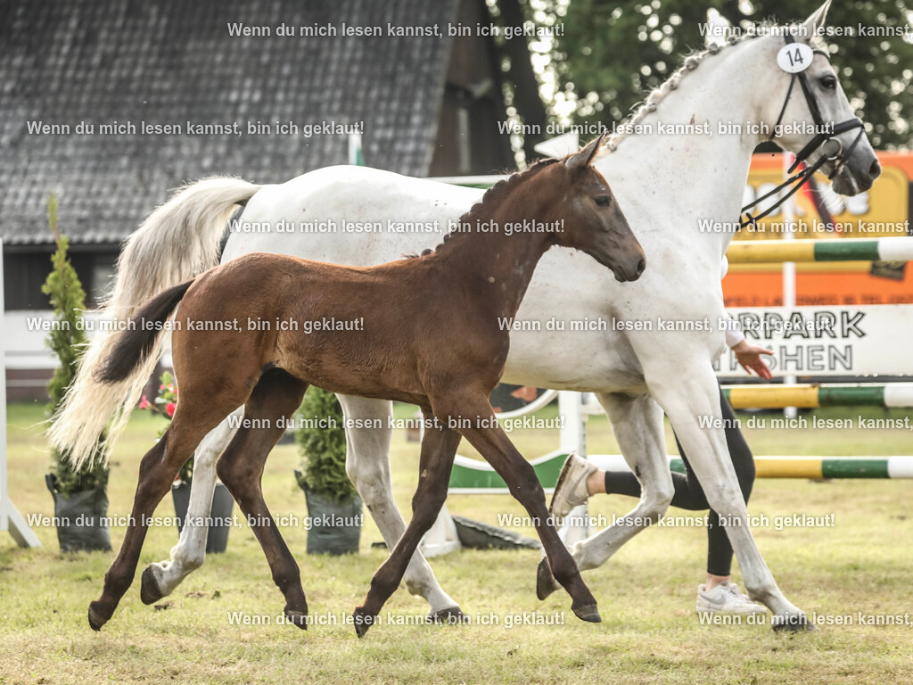 598A2894 | photographylinaismer - Realisiert mit Pictrs.com