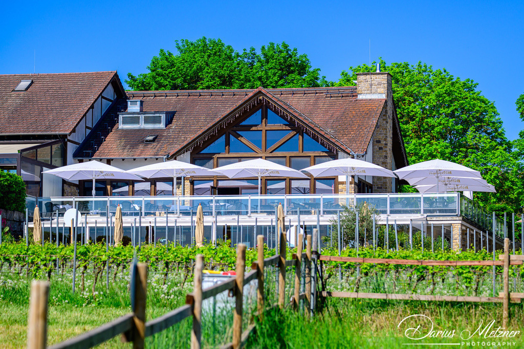 DSC_9681 | Fotografien, Fotos und Bilder aus Mainz, Frankfurt, Wiesbaden und anderen Orten auf der Welt - Fotografiert von Darius Metzner