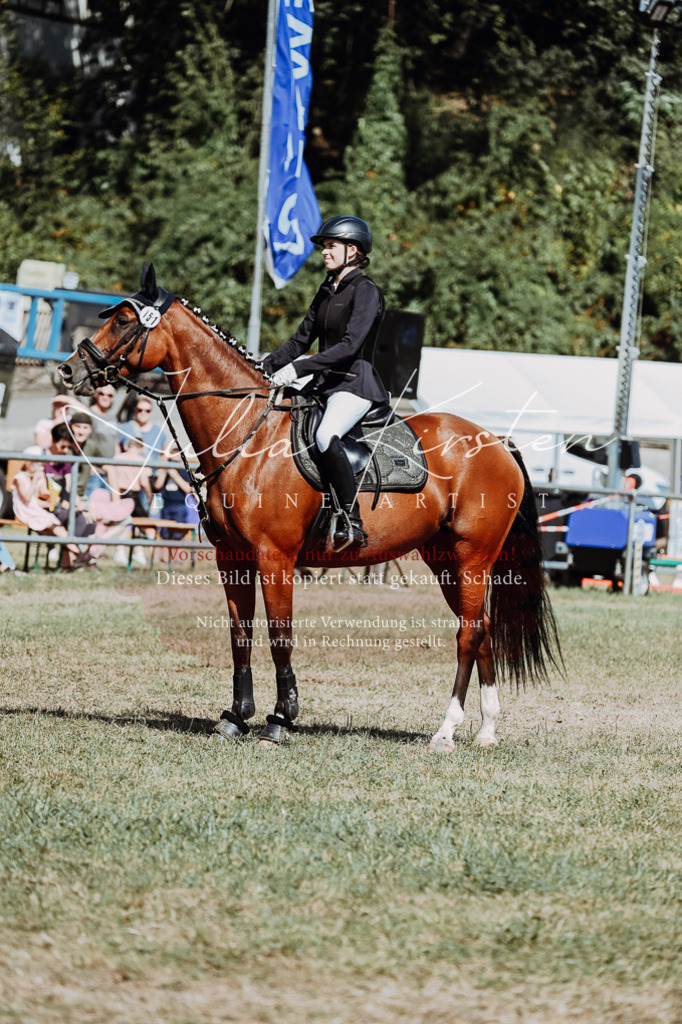 DSC_9769 | Pferde- und Turnierfotografie in Westsachsen. Pferdeportraits, Auftragszeichnungen und intuitive Kunst.