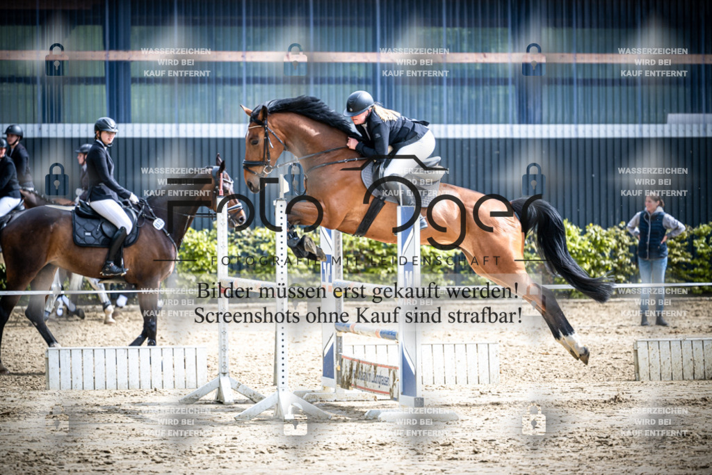 DOS_2067 | Reitturnier Lüdinghausen - Realisiert mit Pictrs.com