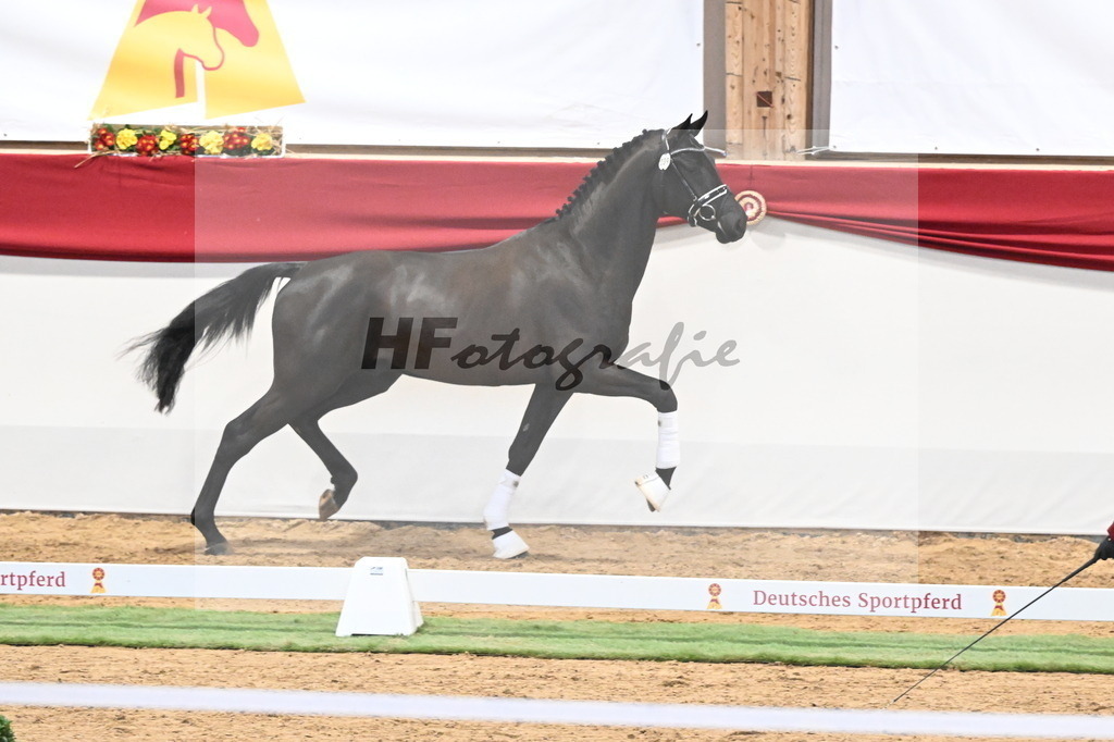 Kat.-Nr. 39 v. De Chirico_Schadock_3260295 | hf-fotografie - Realisiert mit Pictrs.com