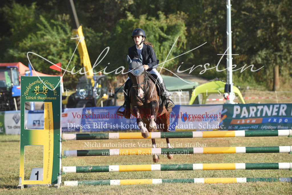 DSC_4938 | Pferde- und Turnierfotografie in Westsachsen. Pferdeportraits, Auftragszeichnungen und intuitive Kunst.