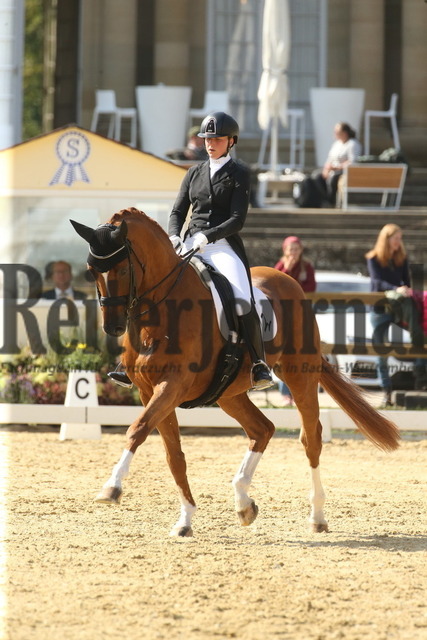 Ludwigsburg_2022_Prfg.Nr.03_FEI Grand Prix_Lisa Wernitznig_Quintus (6) | Alle Fotos der Reiterjournal Fotografin Doris Matthaes im Reiterjournal Online-Fotoshop. - Realisiert mit Pictrs.com