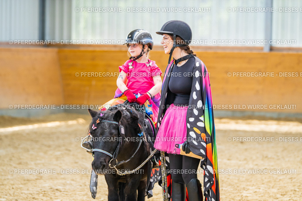 DSC00831 | Pferdegrafie