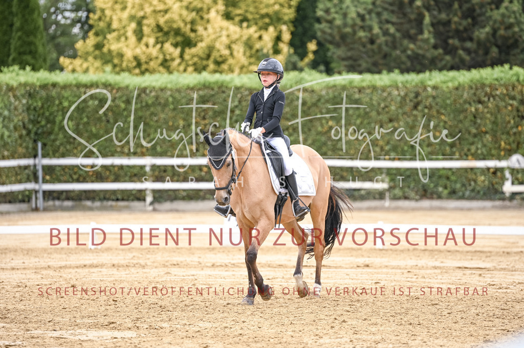 Schugtsche-Aluta25-42.EDressur -279 | Schugtsche Fotografie - Realisiert mit Pictrs.com