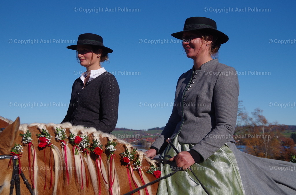 IMGP8040 | fotografiert von Axel PollmannLeonhardi Wallfahrt Benediktbeuern und Murnau, Fronleichnam, Fasching, Landschaft im Loisachtal und Benediktbeuern  - Realisiert mit Pictrs.com
