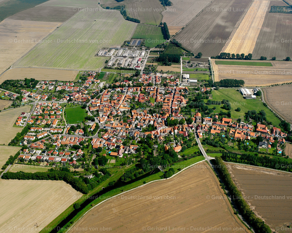 2589468 | Bollstedt, Weinbergen