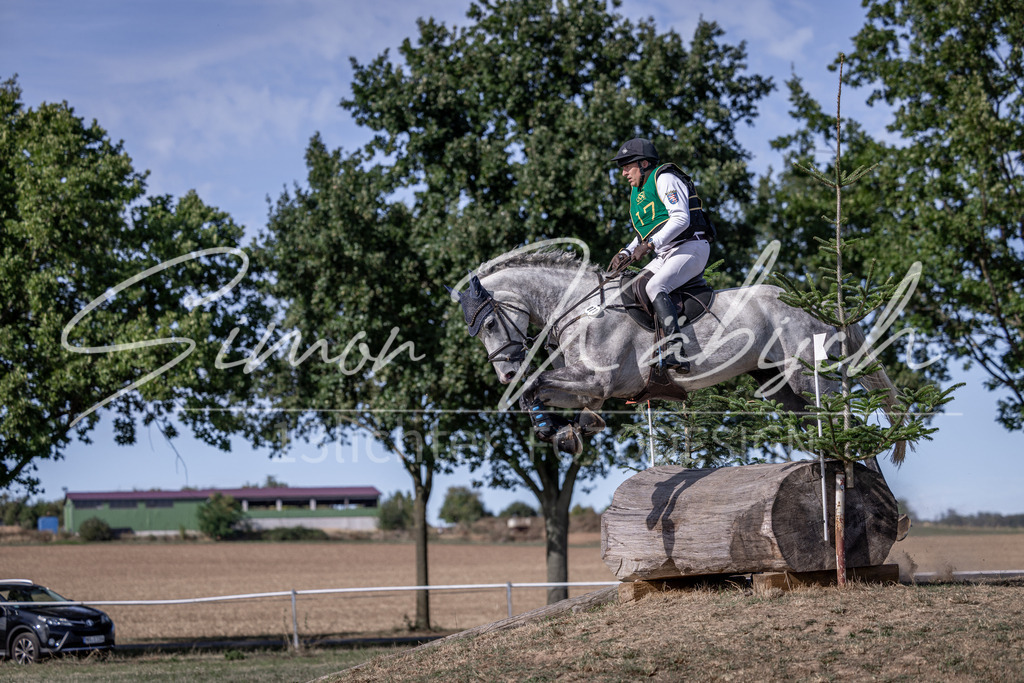20260906-_3LI6477 | Tierfotografie Pferde, Hunde, Katzen, Haustiere.
Turnierfotografie Reitturniere, Reiten, Springreiten, Dressur in Hanau, dem Main-Kinzig-Kreis und dem Rhein-Main- Gebiet um Frankfurt