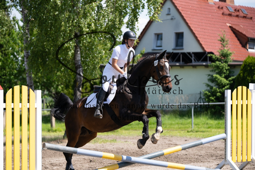 A7V03168 | Pferdefotograf