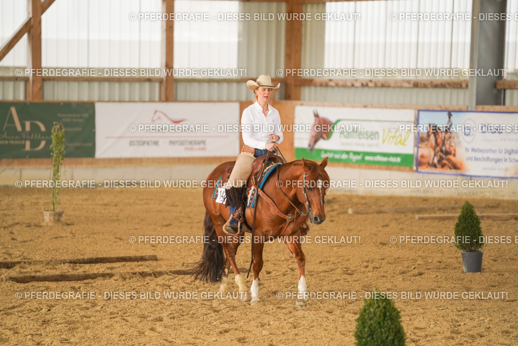 DSC02475 | Pferdegrafie