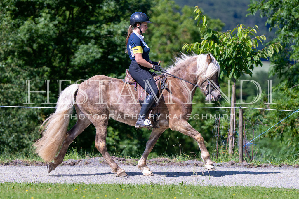 KAI00392 | Ihr sucht einen Fotografen für eure nächste OSI? Ich begleite auch euer Turnier für Islandpferde fotografisch.  - Realisiert mit Pictrs.com