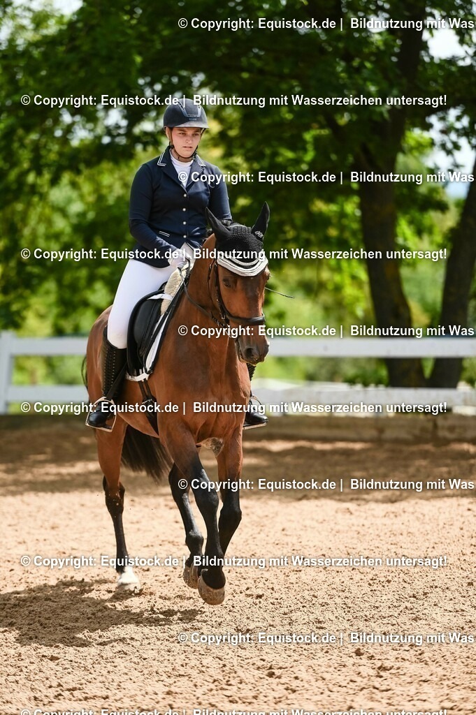 20230716_03_Dressurprfg. Kl.L - Tr._0682 | equistock