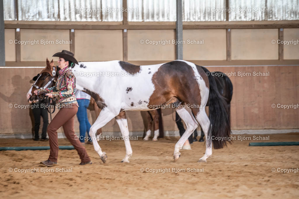 SBS09770 | BS-foto