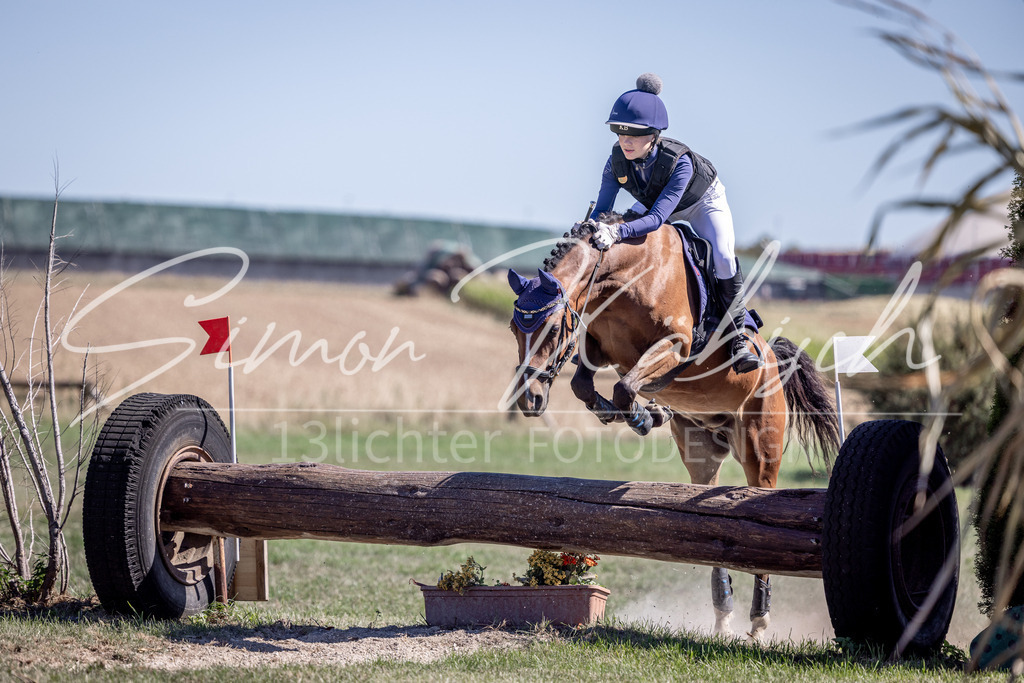 20260906-_3LI3741 | Tierfotografie Pferde, Hunde, Katzen, Haustiere.
Turnierfotografie Reitturniere, Reiten, Springreiten, Dressur in Hanau, dem Main-Kinzig-Kreis und dem Rhein-Main- Gebiet um Frankfurt