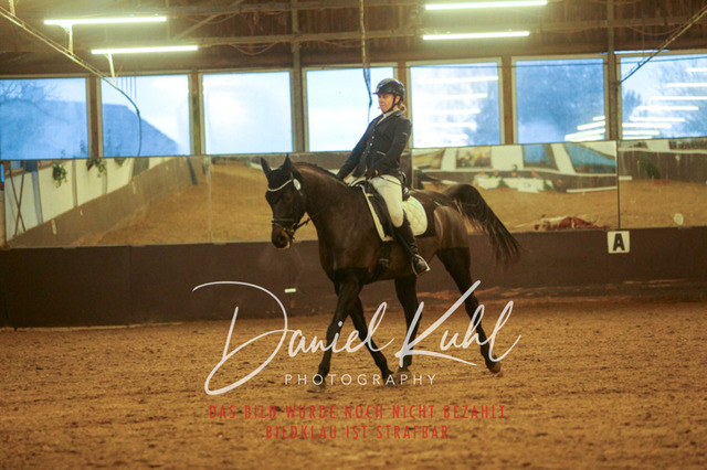 IMG_8312 | Turniersportfotografie; Pferdefotografie; Dressurfotografie