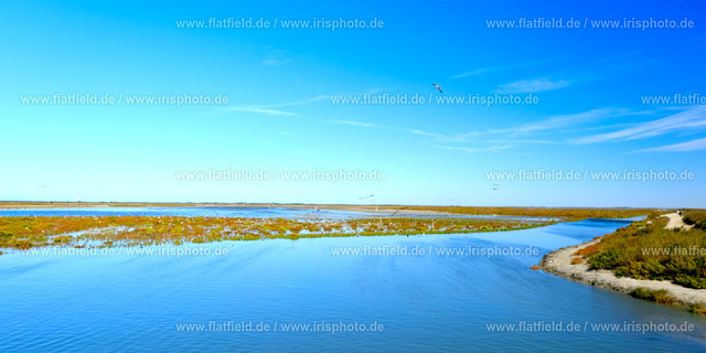 Camargue Landschaft Panorama II | In Saintes Maries de la Mer