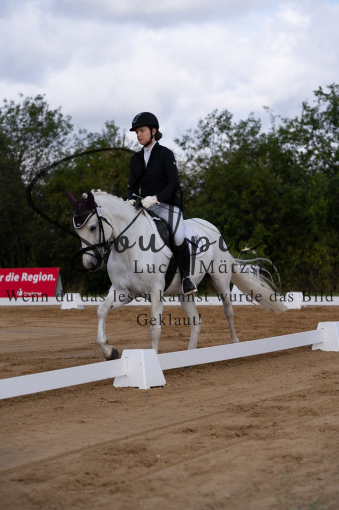 A7V05163 | Pferdefotograf