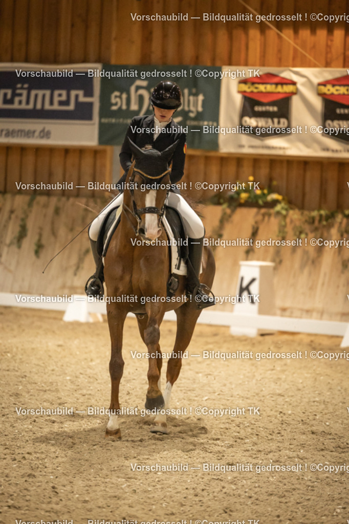 _D5A4011 | Emotionale Pferde- & People-Fotografie rund um Heidelberg, Leimen & Umgebung. Natürliche Fotos von Pferd, Mensch & Familie. Jetzt Termin sichern!