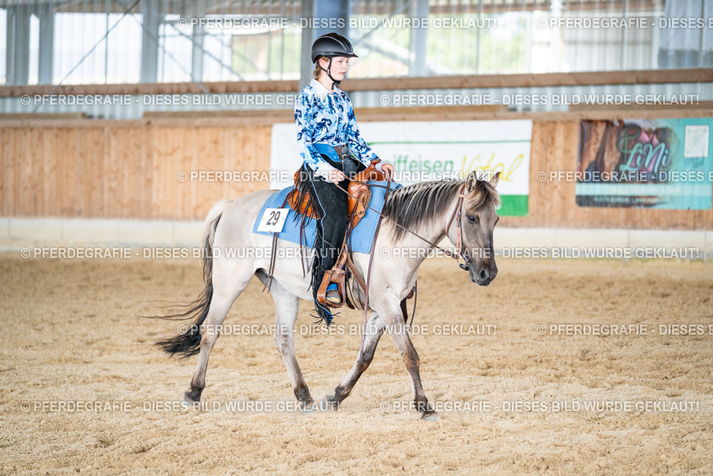 DSC09553 | Pferdegrafie