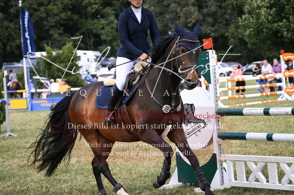 DSC_0591 | Pferde- und Turnierfotografie in Westsachsen. Pferdeportraits, Auftragszeichnungen und intuitive Kunst.