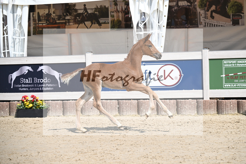 Veneno x Hotline _SF_Wiedemann_12250336 | hf-fotografie - Realisiert mit Pictrs.com