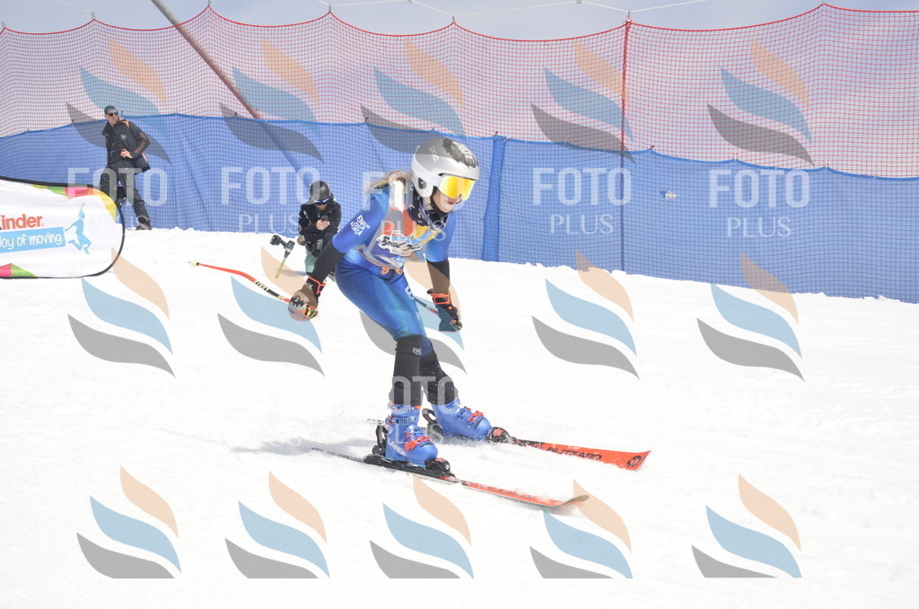 _ELE8903 | holidayphoto