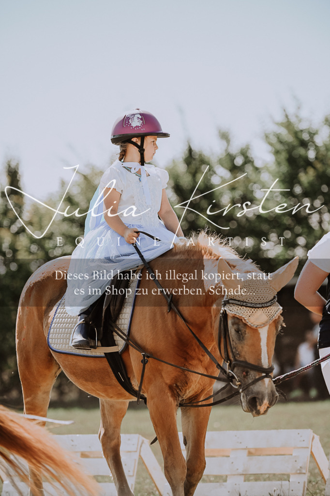 DSC_8898 | Pferde- und Turnierfotografie in Westsachsen. Pferdeportraits, Auftragszeichnungen und intuitive Kunst.