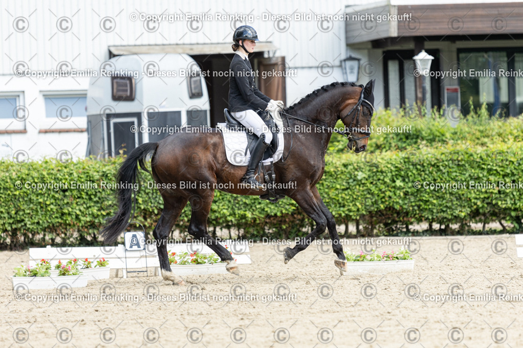 CL5A4845-2 | Emilia Reinking Fotografie - Realisiert mit Pictrs.com