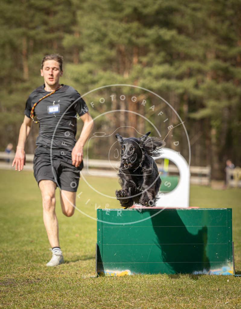 Pfotenfotografie_DV3A0427 | Hundefotografie, Tierfotograf, Pfotenfotografie, Fotoshooting Hund, Hunde Portrait, Hundesport, Hundeportraits, Heideshooting, Hunde, Sportfotograf, Hundefotograf, Turnierhundsport, THS,  - Realisiert mit Pictrs.com