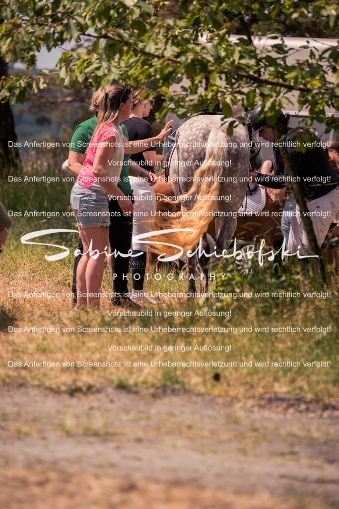 2025_05_31_DSCF3299 | People- und Tierfotografie, Imageaufnahmen, Veranstaltungsfotografie und Wandbilder aus der Natur ★ Made in Germany ✔️ Druck + Downloads ✔️ Naturfotografie in Top Qualität ★ schneller Versand, weltweite Lieferung! - Realisiert mit Pictrs.com