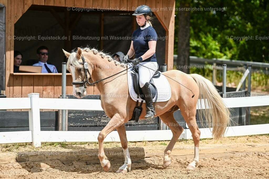20230715_09_Dressur-WB_0519 | equistock