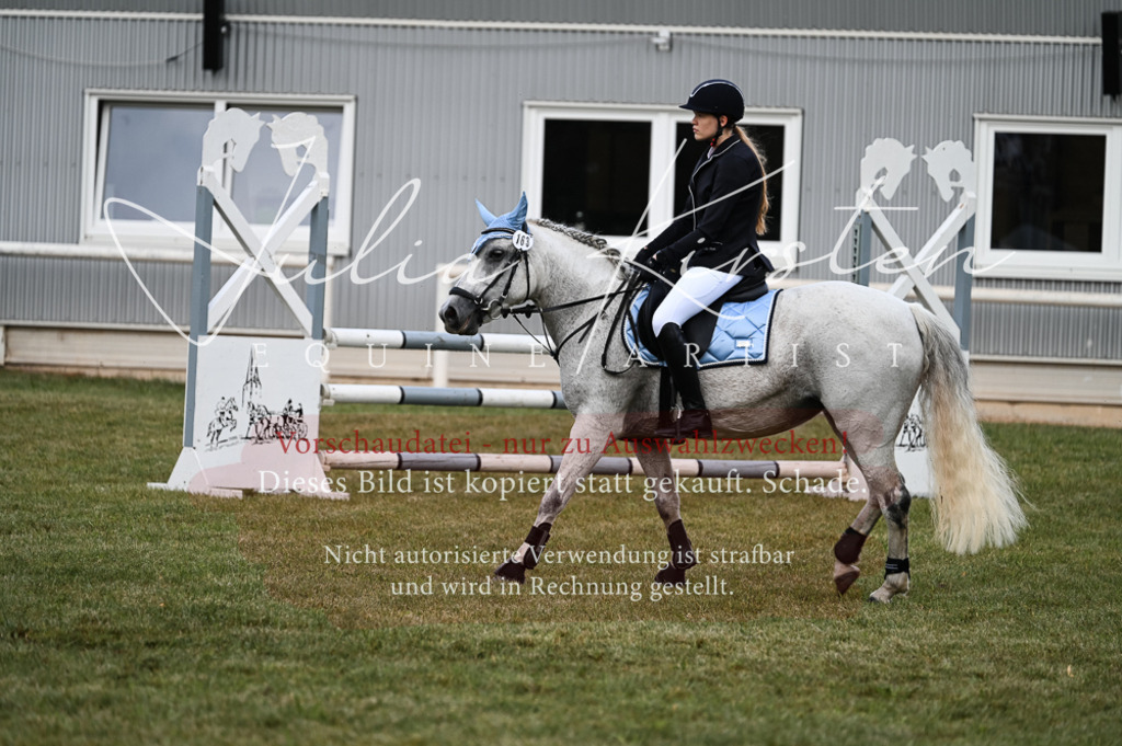 DSC_5512 | Pferde- und Turnierfotografie in Westsachsen. Pferdeportraits, Auftragszeichnungen und intuitive Kunst.