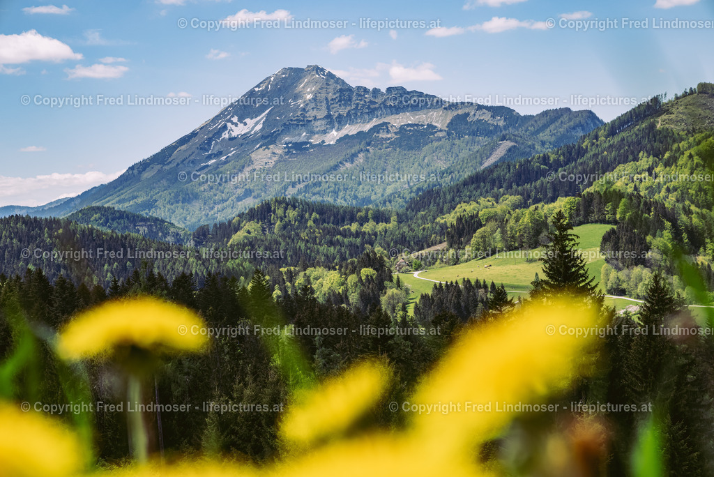 Oetscher Joachimsberg 01062021-5278 | Fotos und Fotoprodukte - Realisiert mit Pictrs.com