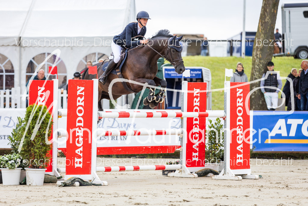 BHO-2PhSpr-M-5-2030 | MomenTaufnahmen Pferdesportfotos