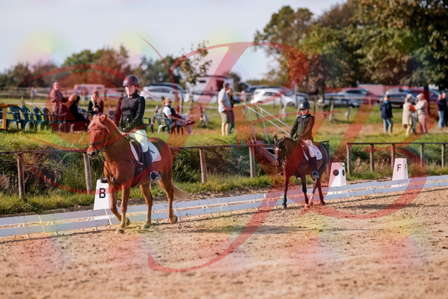 2026_10_03_Siefer-Hof_122306_Z81_22904431 | Professionelle Reitsport-, Turnier- und Eventfotografie von Robert Broda. Galerien mit ausgewählten und bearbeiteten Bildern direkt online ansehen und bestellen.