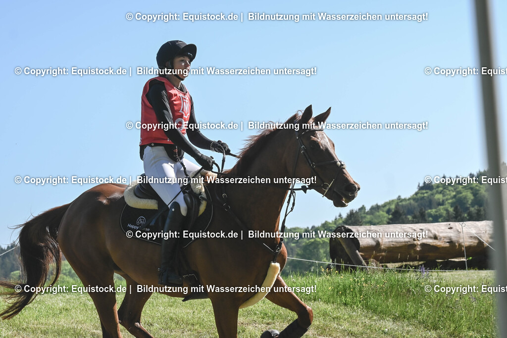 20250517_CCI2_Gelände_0709 | Foto: Thomas Hartig