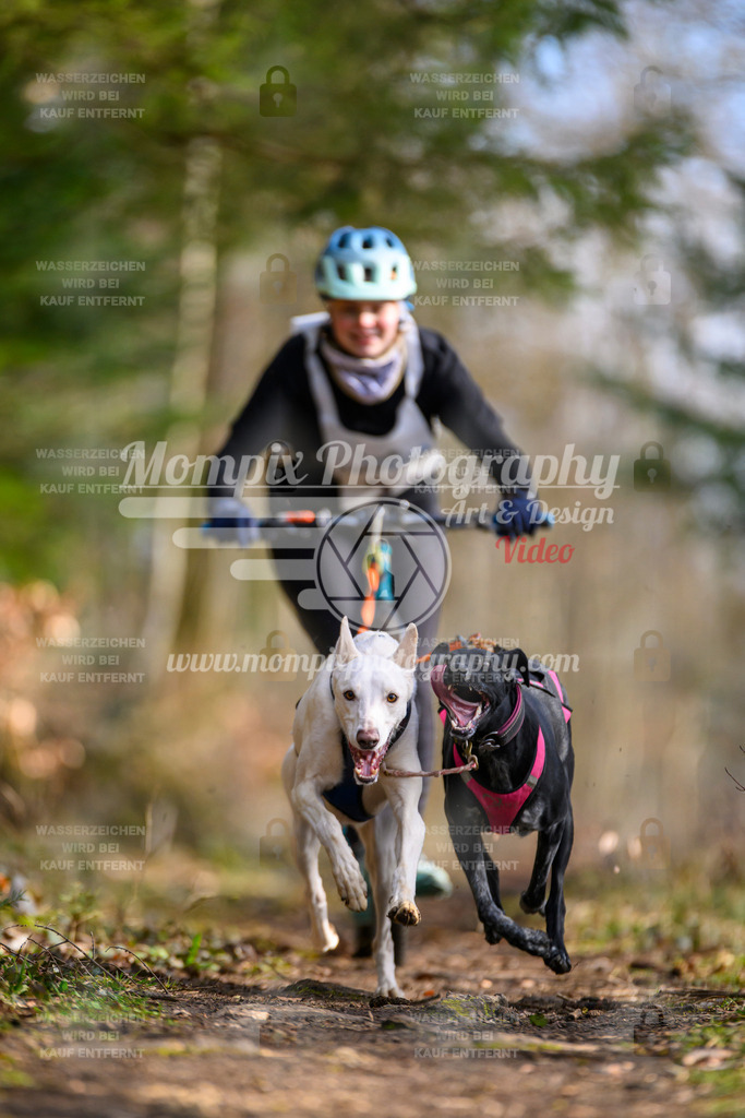 MompixPhotography_ReiatRennen2024_DS2-15 | PayLife