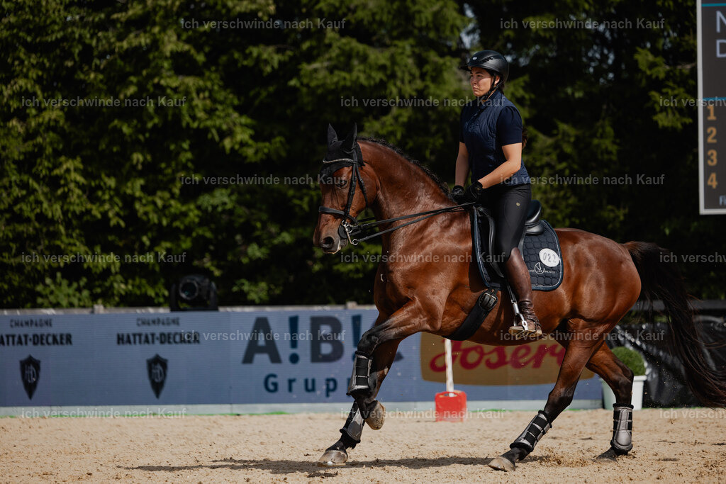 Nadine22_FHC2025-125 | working equitationturnier fotograf videograf stoibphotography marixx film working equitation deutschland reitsport turnierfotografie eventfotografie equestrian events