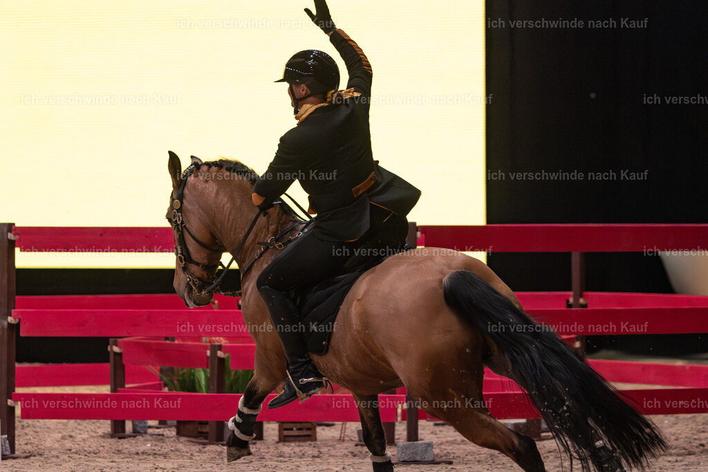 JoseraCup-228 | working equitationturnier fotograf videograf stoibphotography marixx film working equitation deutschland reitsport turnierfotografie eventfotografie equestrian events
