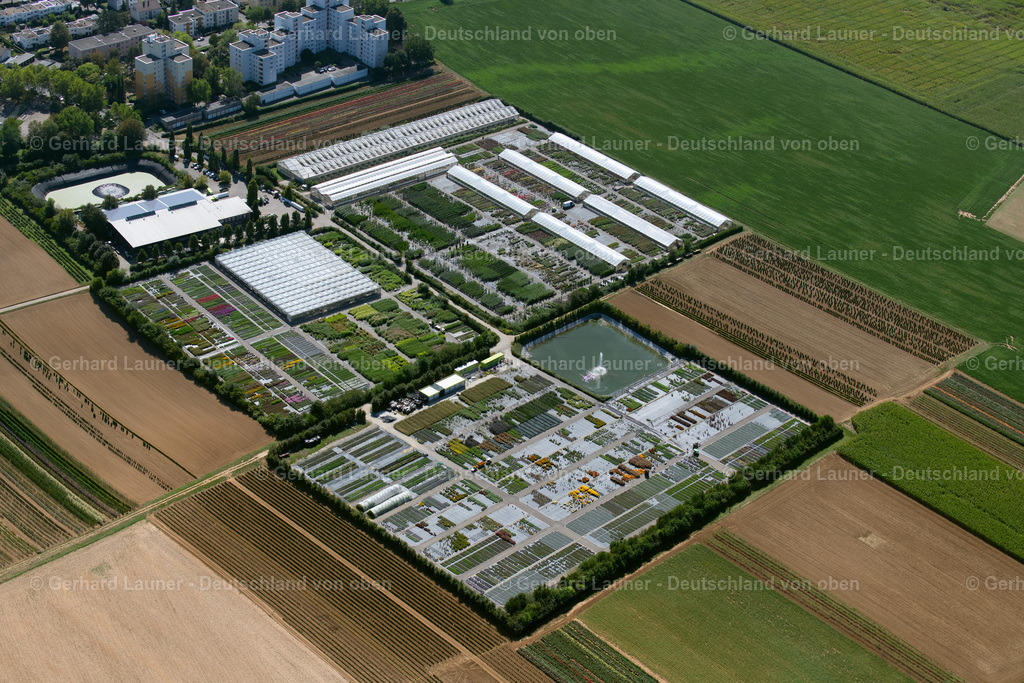 3902611 | Gärtnerei an der Maasstrasse, Neckargartach