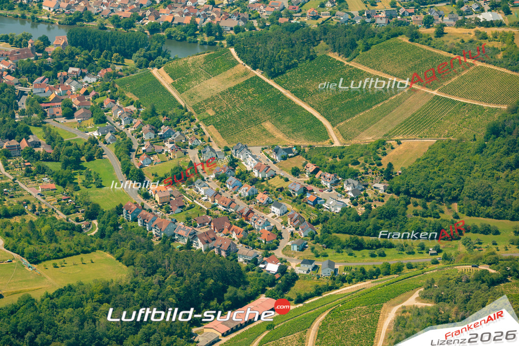 Das Luftbild zeigt : Homburg am Main Weinberg Triefenstein - Die Luftaufnahme wurde 2023 vom UL-Flugzeug aus erstellt ( keine Drohne ) - Hochauflösende Luftaufnahme - Für grossformatige Ausdrucke geeignet. Die Geschenkidee !Mit Lizenz und Bildrechte bestellbar