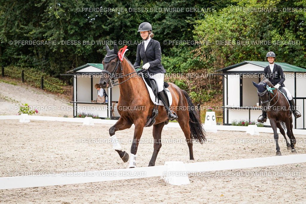 DSC04825 | Pferdegrafie