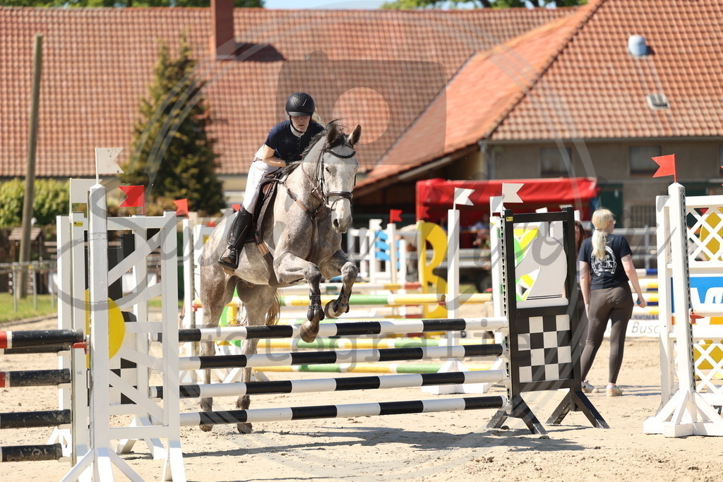 994A5784 | sabrinanicolaifotografie - Realisiert mit Pictrs.com