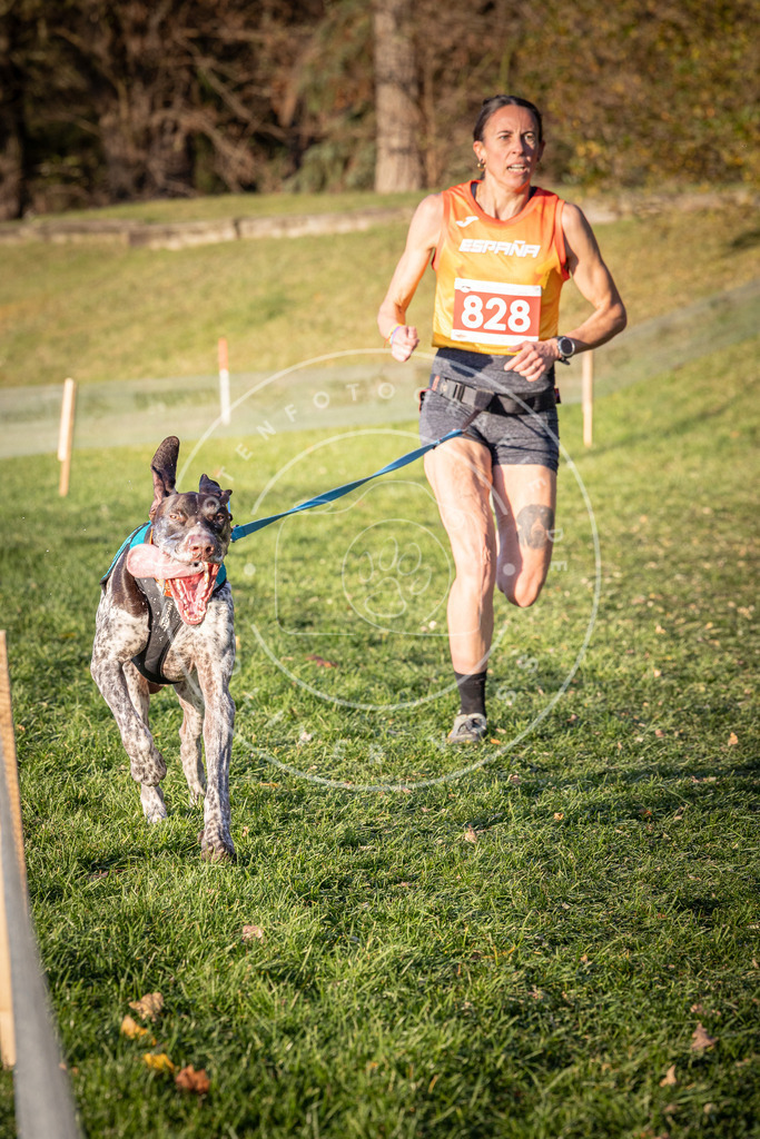 CaniXpix_0L8A0593 | Hundefotografie, Tierfotograf, Pfotenfotografie, Fotoshooting Hund, Hunde Portrait, Hundesport, Hundeportraits, Heideshooting, Hunde, Sportfotograf, Hundefotograf, Turnierhundsport, THS,  - Realisiert mit Pictrs.com
