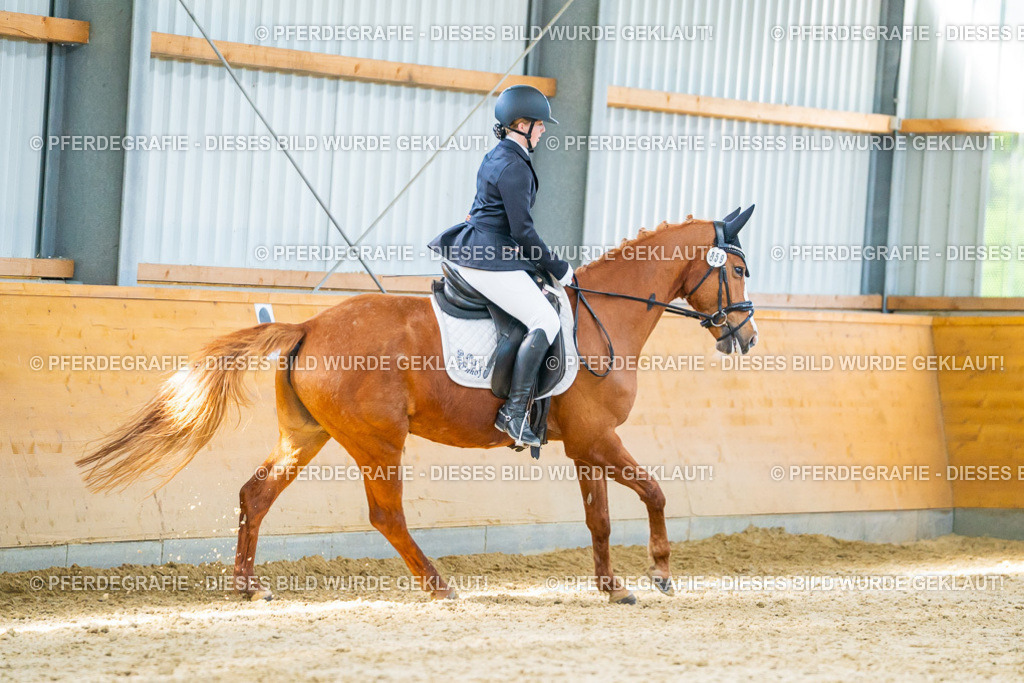 DSC07047 | Pferdegrafie