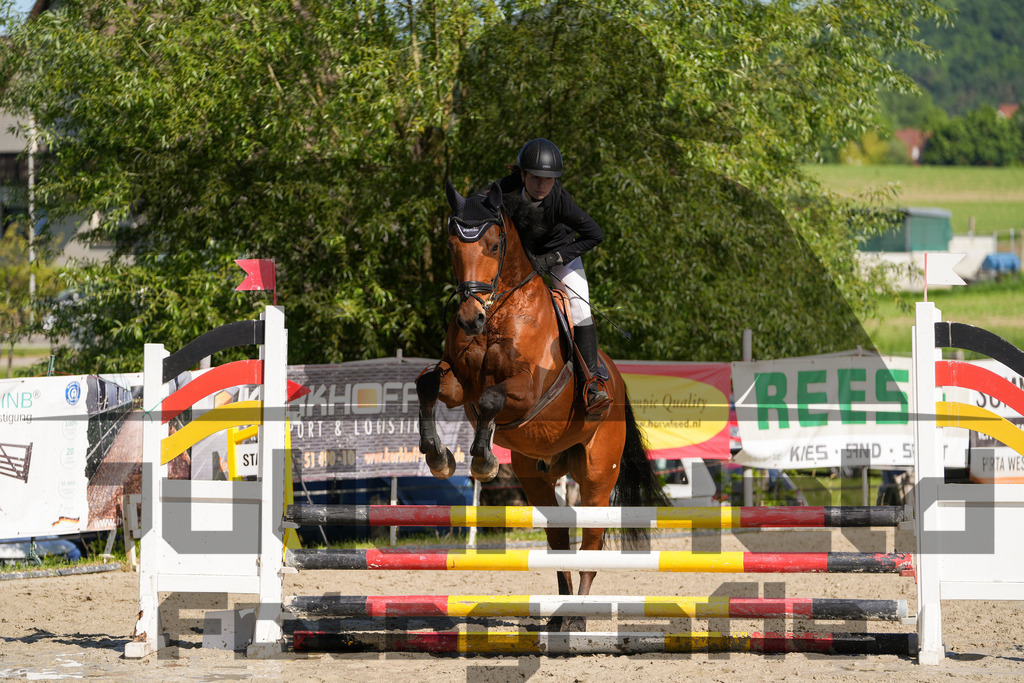 DSC02077 | Julian Held Fotografie - Realisiert mit Pictrs.com